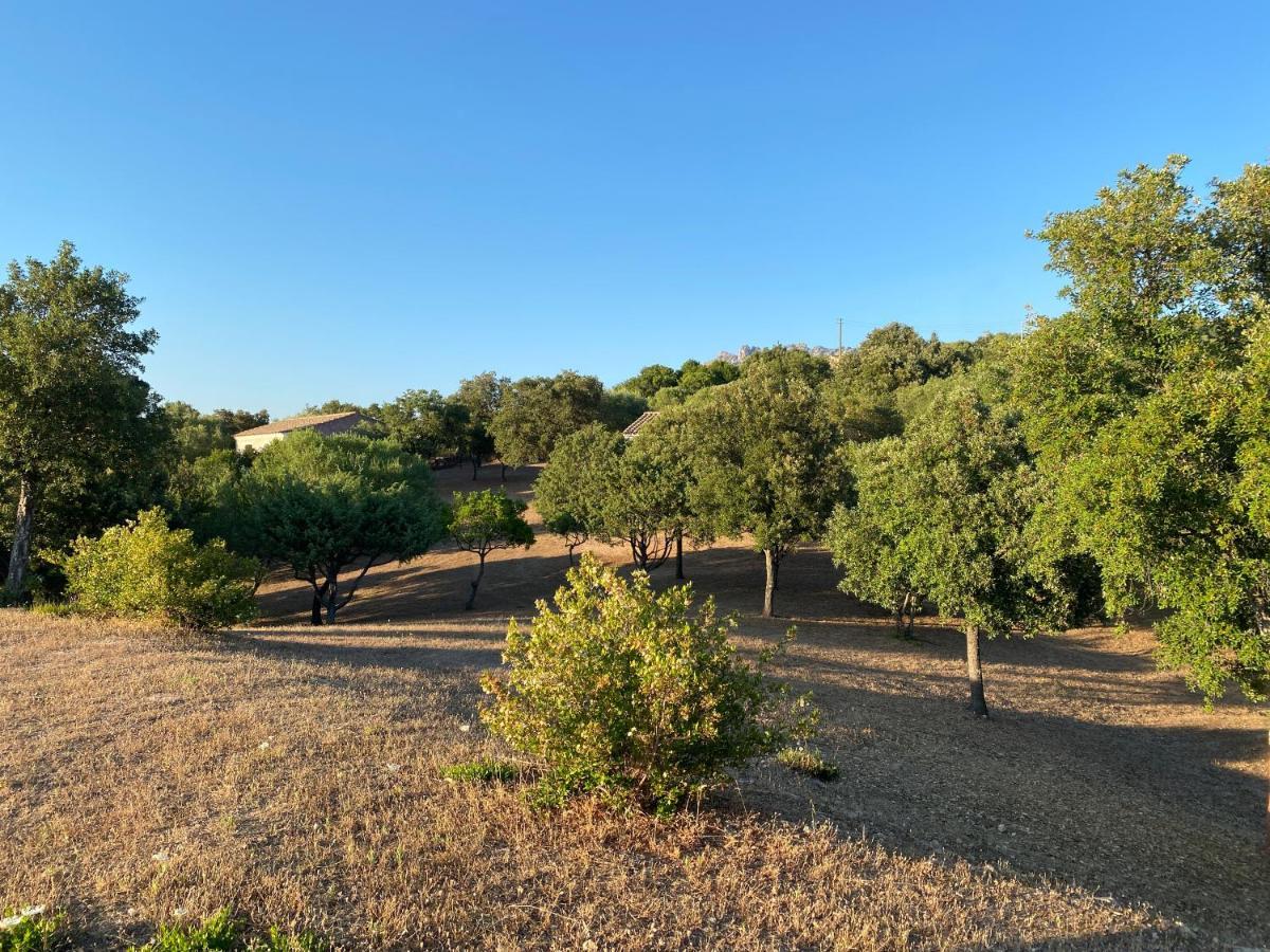 Li Paduleddi Country Guest House Olbia Exterior photo