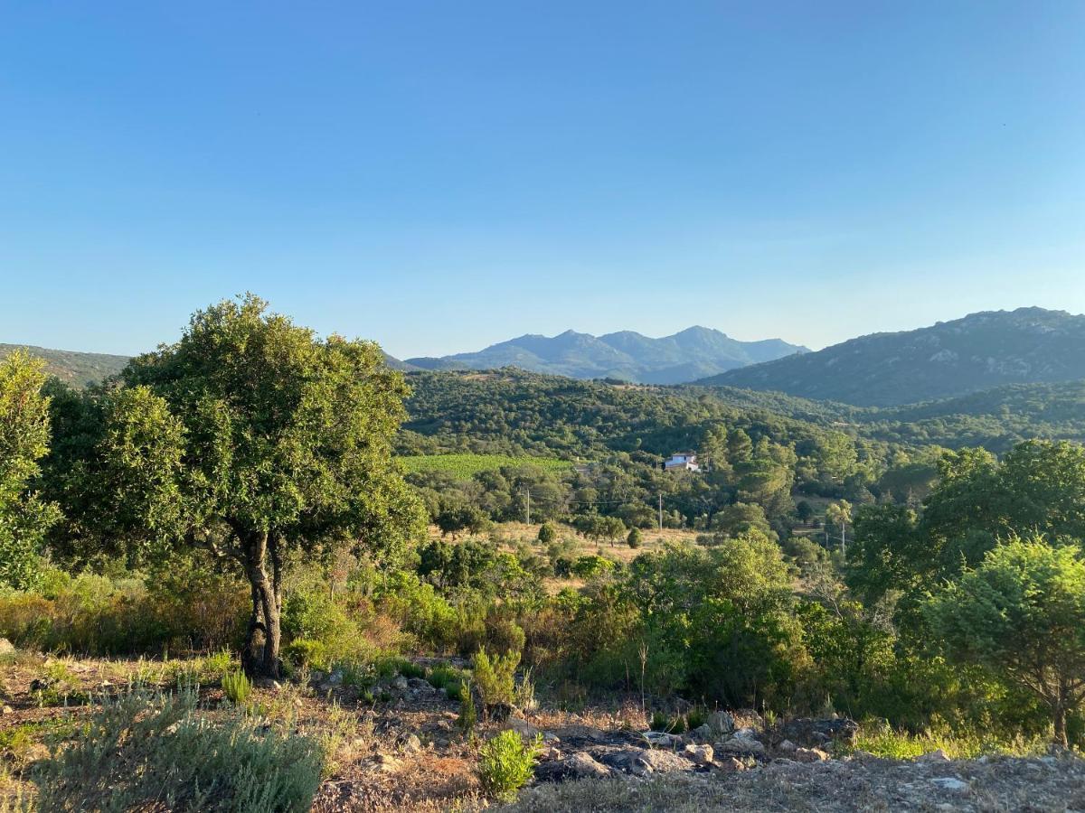 Li Paduleddi Country Guest House Olbia Exterior photo